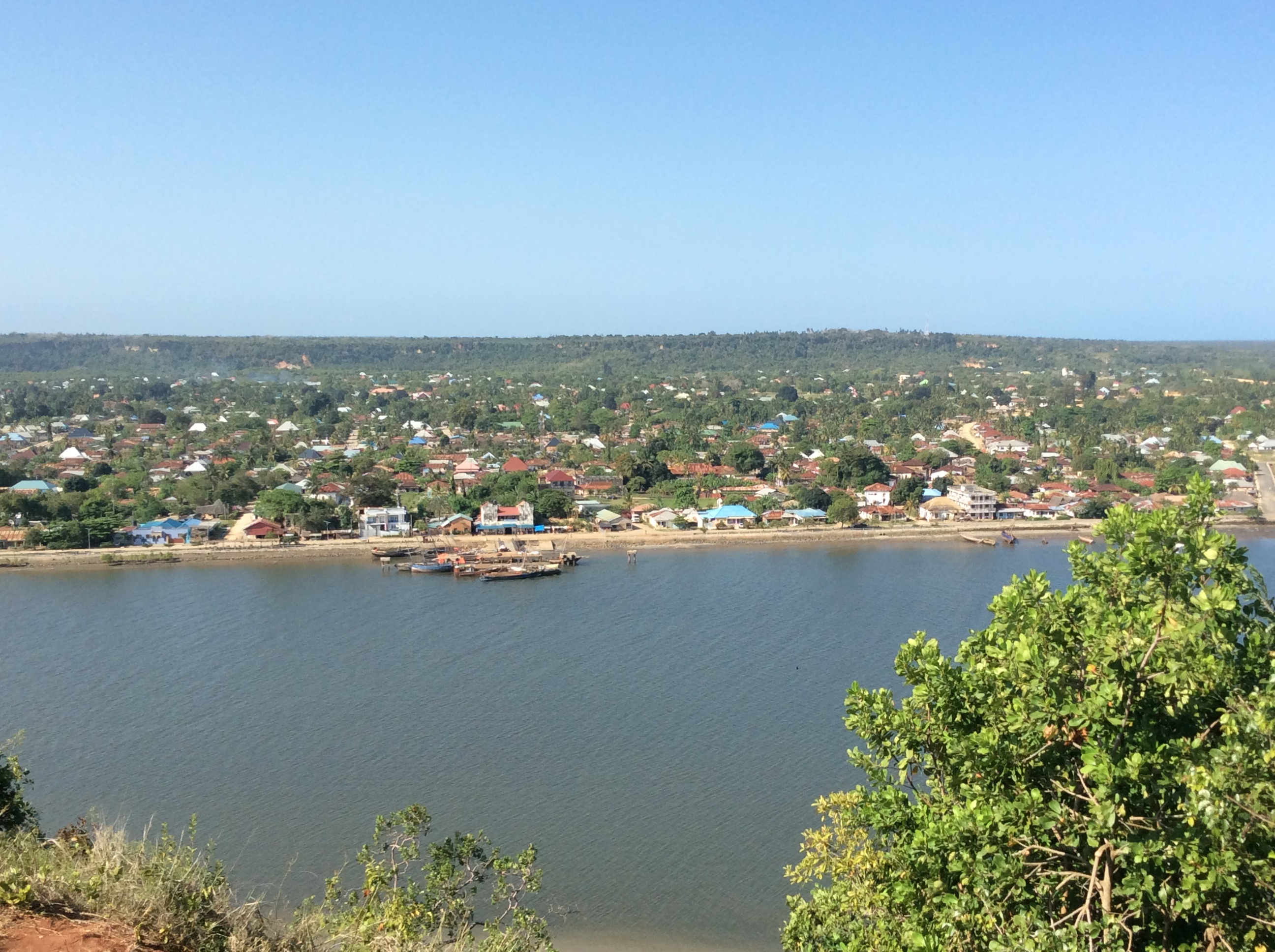 Saadani Landscape