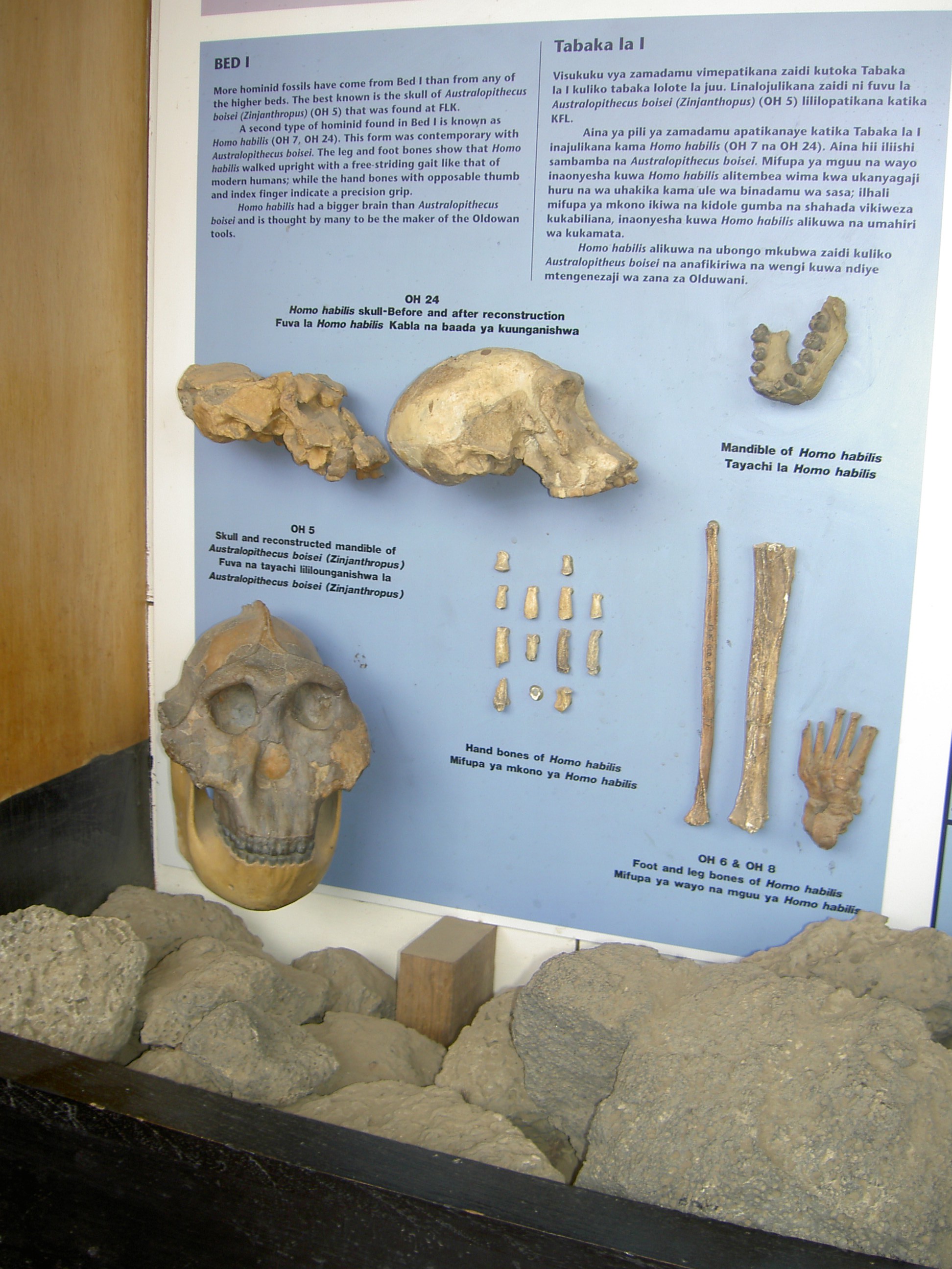 Ancient Stone Tools