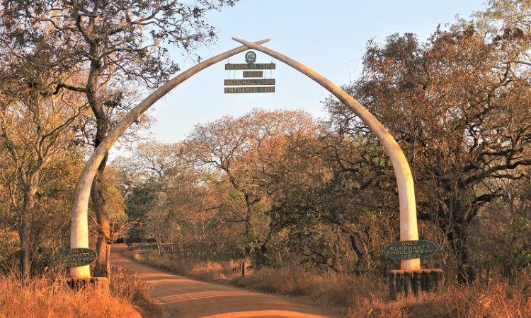 Katavi National Park