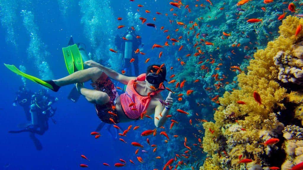 Private snorkeling experience